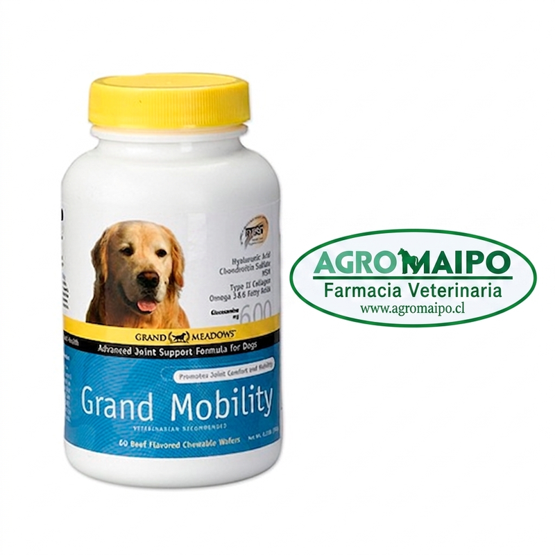 Grand Mobility x 60 comprimidos