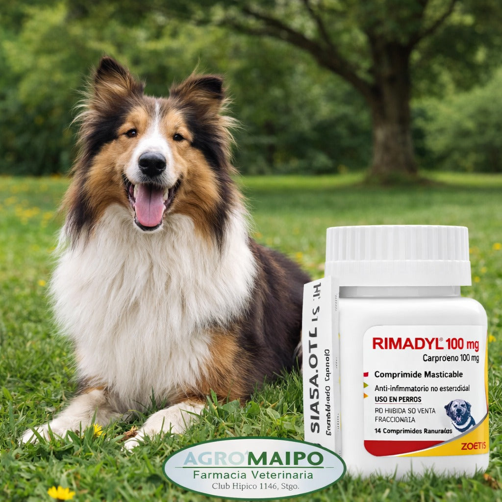 Rimadyl Carprofeno 100 mg x 14 comprimidos