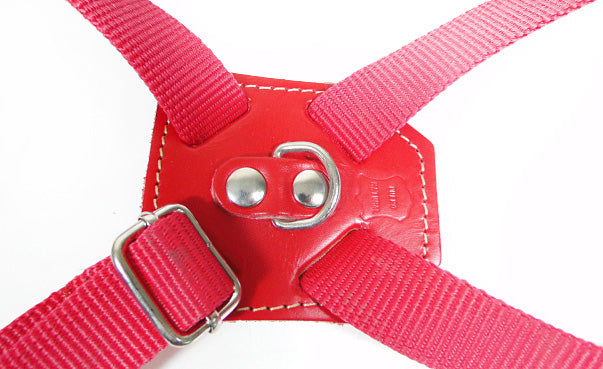ARNES PARA PERRO TIPO 8