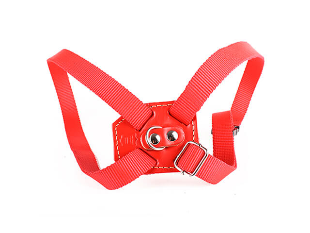 ARNES PARA PERRO TIPO 8