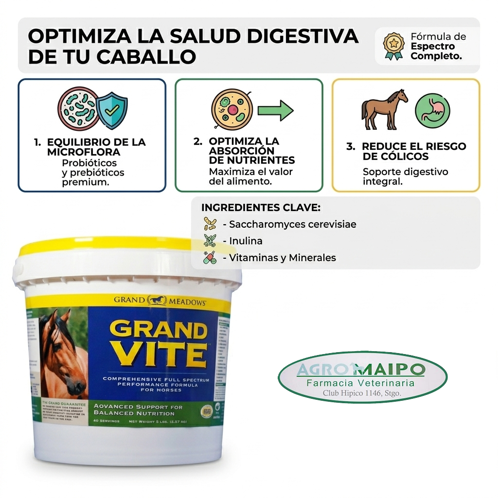 Grand Vite para Caballos - Energía, Digestión y Rendimiento